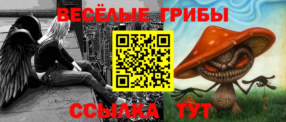 Галлюциногенные грибы прущие грибы  Псилоцибиновые грибы MAGIC MUSHROOMS  Вход с VPN  Нарткала 